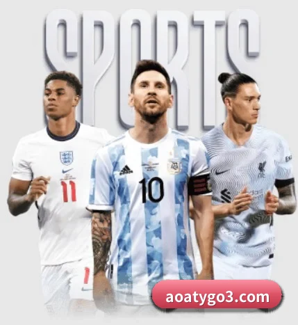五大服务分区,信息按项目分类